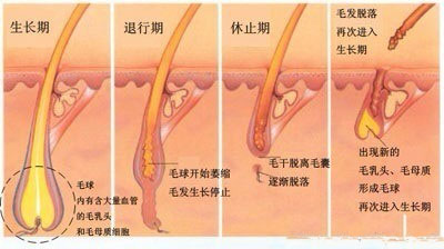 又是一年脱毛季，你了解多少？