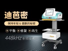 热渗透再生管理系统--迪芭密